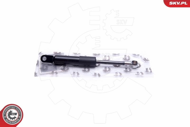 Gas Spring, boot/cargo area